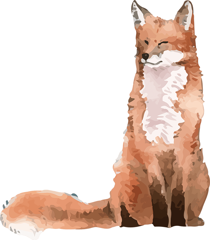 Summer-Adventure-Fox-800