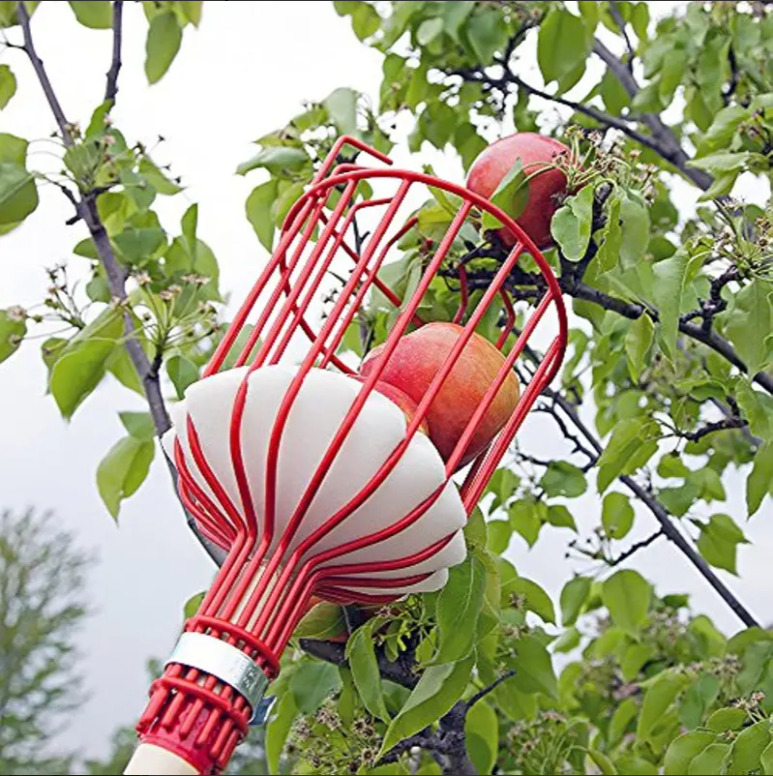 Eversprout 12ft fruit picker with basket